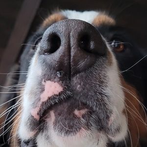 Meet your Posher, Daniela